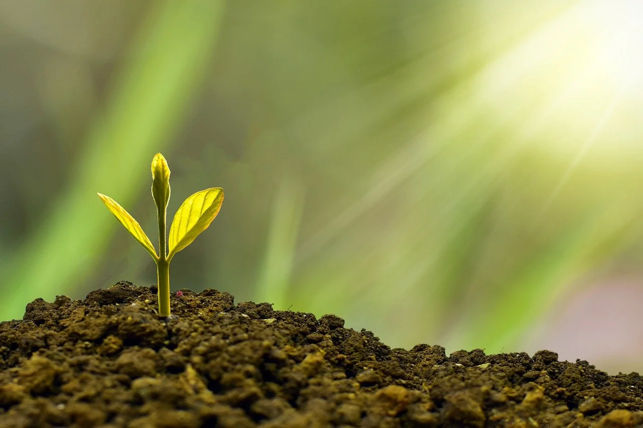 Strategic Selling Series: Master 4 Four Skills to Grow Client Base