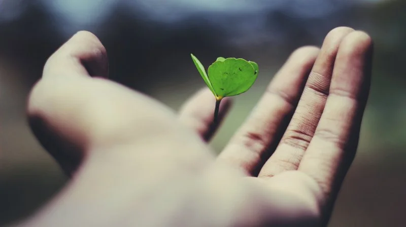 Growth Mindset and High-Value Sales Opportunities