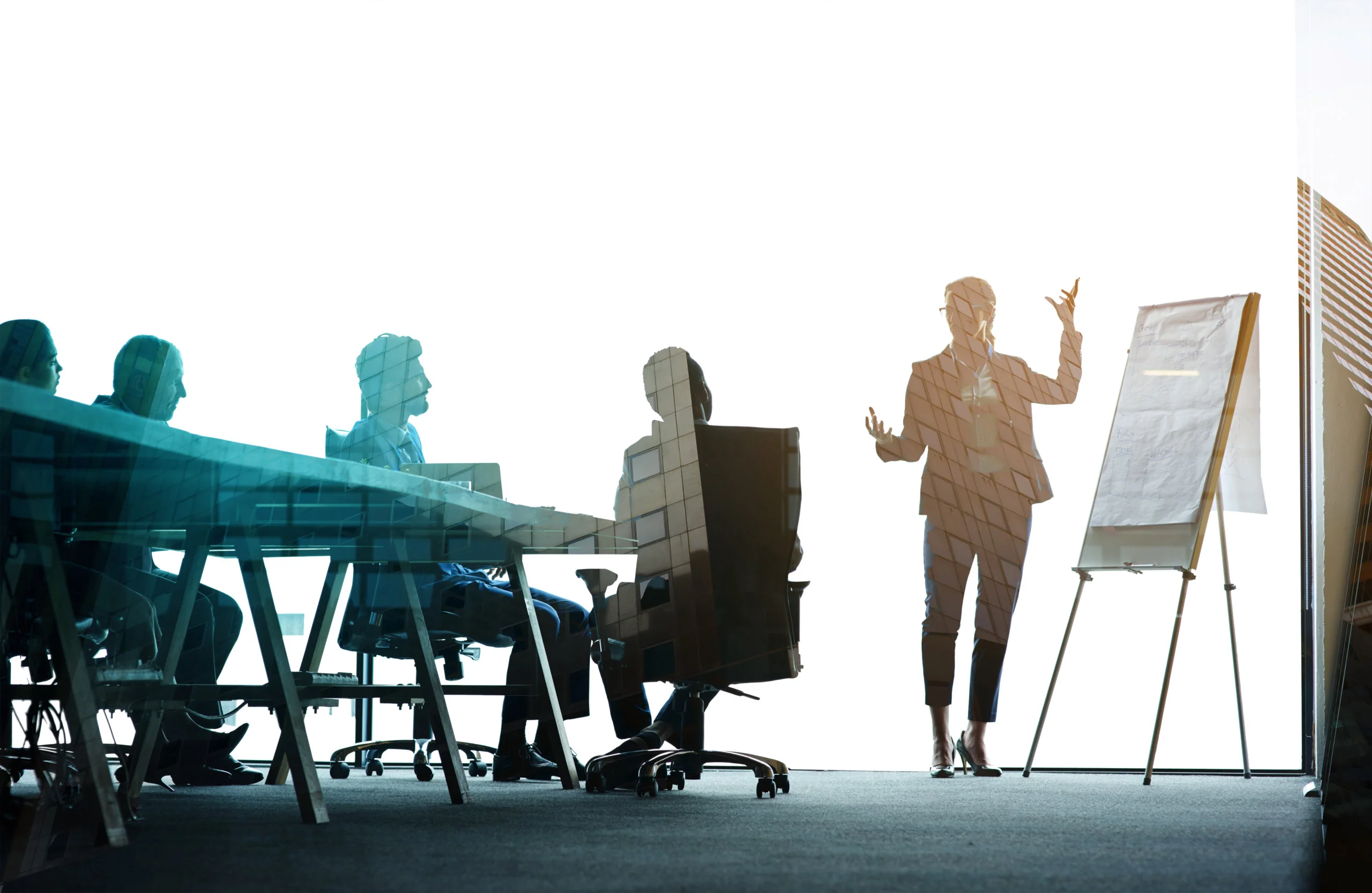 SALES CONSULTING & ADVISORY SERVICES