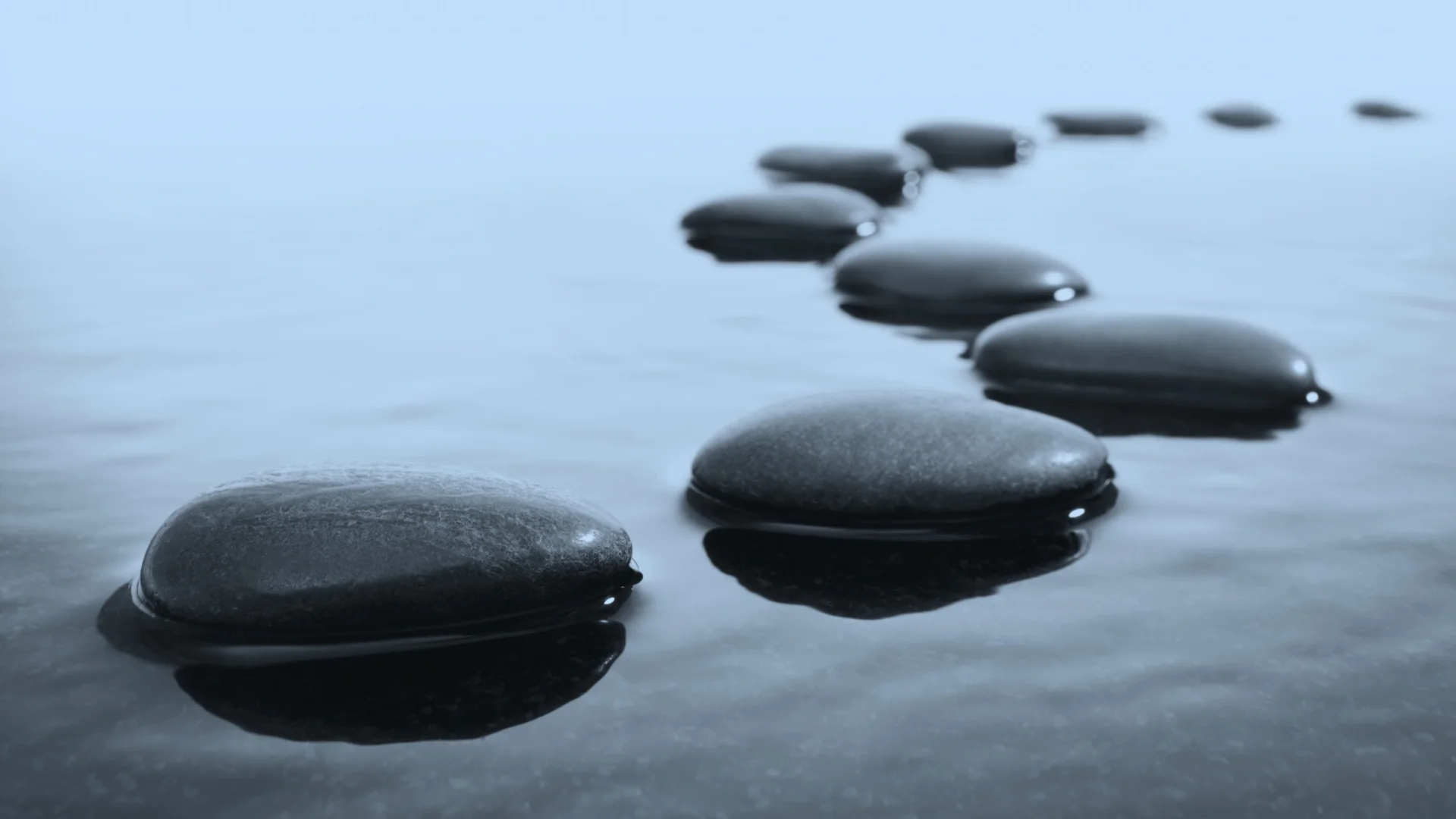 How Can Professional Services Firms Build More Consistency into Business Development Follow-Up?